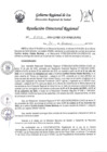 Vista preliminar de documento RDR-0110-2024