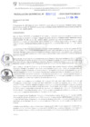 Vista preliminar de documento RG. 000132-2024-GSATDE