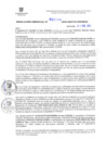 Vista preliminar de documento RG. 000144-2024-GSATDE