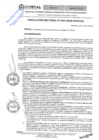 Vista preliminar de documento RES.RECT. N° 0091-2024-UNHEVAL