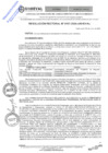 Vista preliminar de documento RES.RECTORAL N° 0107-2024-UNHEVAL