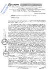 Vista preliminar de documento RES.RECTORAL N° 0110-2024-UNHEVAL