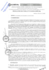 Vista preliminar de documento RES.RECTORAL N° 0134-2024-UNHEVAL