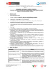 Vista preliminar de documento BASES 006-2024