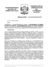Vista preliminar de documento Resolución N° 0303-2023/SBN-DGPE-SDAPE
