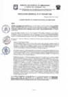 Vista preliminar de documento RG 71-2024