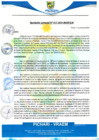 Vista preliminar de documento rgm15