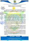 Vista preliminar de documento rgm19