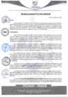 Vista preliminar de documento rgm75