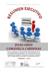 Vista preliminar de documento RESUMEN EJECUTIVO