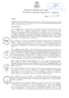 Vista preliminar de documento Resolución Ejecutiva Regional N° 162-2023