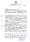 Vista preliminar de documento Resolución Ejecutiva Regional N° 133-2023