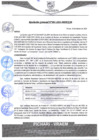 Vista preliminar de documento rgm81