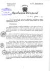 Vista preliminar de documento Resolución Directoral N.°43-DG-HNHU