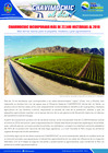 Vista preliminar de documento 07 Diciembre