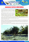 Vista preliminar de documento 30 Noviembre