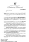 Vista preliminar de documento RD 30