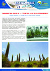 Vista preliminar de documento 20 Setiembre