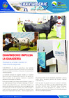 Vista preliminar de documento 14 Setiembre