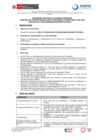 Vista preliminar de documento BASES 007-2024