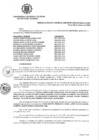 Vista preliminar de documento 026-CU-2024