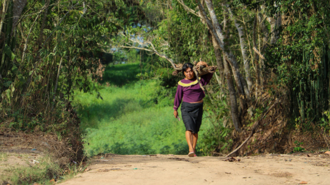 Mujeres trabajando por los bosques - web