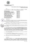 Vista preliminar de documento 029-CU-2024