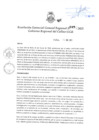 Vista preliminar de documento Resolución Gerencial General Regional N° 045-2023