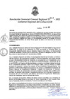 Vista preliminar de documento Resolución Gerencial General Regional N° 313-2022