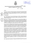 Vista preliminar de documento Resolución Gerencial General Regional N° 232-2022