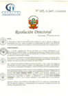 Vista preliminar de documento RD N° 09-01-2019-HCLLH-SA