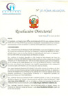 Vista preliminar de documento RD N° 15-01-2019-HCLLH-SA