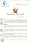 Vista preliminar de documento RD N° 21-01-2019-HCLLH-SA