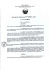 Vista preliminar de documento RD- 2300