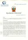 Vista preliminar de documento RD N° 28-01-2019-HCLLH-SA