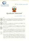 Vista preliminar de documento RD N° 29-01-2019-HCLLH-SA