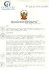 Vista preliminar de documento RD N° 052-02-2019-HCLLH-SA