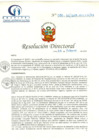 Vista preliminar de documento RD N° 080-02-2019-HCLLH-SA