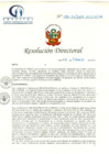 Vista preliminar de documento RD N° 081-02-2019-HCLLH-SA