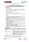 Vista preliminar de documento BASES 001-2024 2da