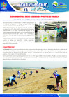 Vista preliminar de documento 14 Octubre