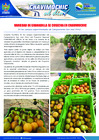 Vista preliminar de documento 26 Setiembre