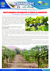 Vista preliminar de documento 16 Setiembre