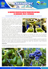 Vista preliminar de documento 13 Setiembre