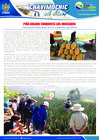 Vista preliminar de documento 09 Setiembre