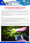Vista preliminar de documento 21 Junio