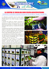 Vista preliminar de documento 18 Junio