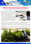 Vista preliminar de documento 04 Junio