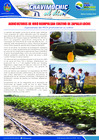 Vista preliminar de documento 21 Mayo