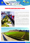 Vista preliminar de documento 16 Mayo